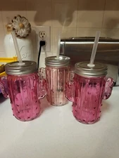 Chic & Tonic Cactus Tumbler Glass X3 Lids & Straws Cacti Pink Cold Drink