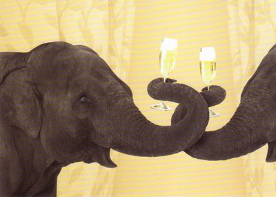 Ansichtskarte: zwei Elefanten drinken Champagner - elephants drinking champagne