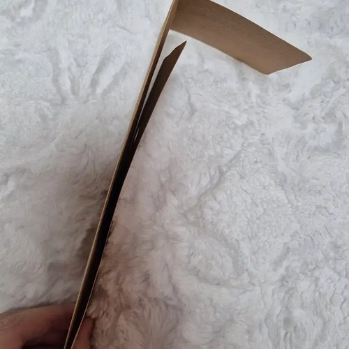 Art Piece: Slightly Bent Envelope with Store Display