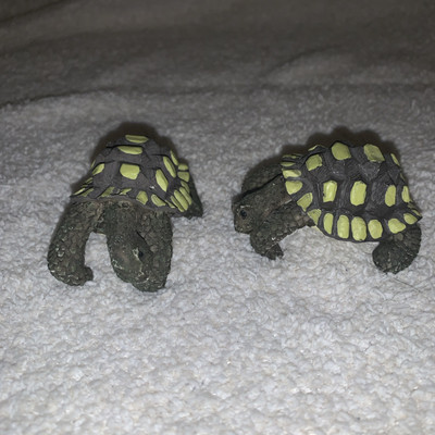 Mini Turtle Figures For Aquarium Or A Reptile Cage Decoration