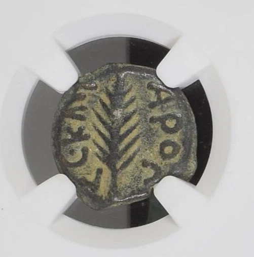 NGC AE Prutah Porcius Festus ROMAN GOV. OF JUDEA Sentenced St Paul HIGH GRADE PQ - Image 3 of 4