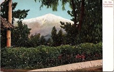 Mt San Bernardino California CA Antique Postcard UNP WOB Note DB