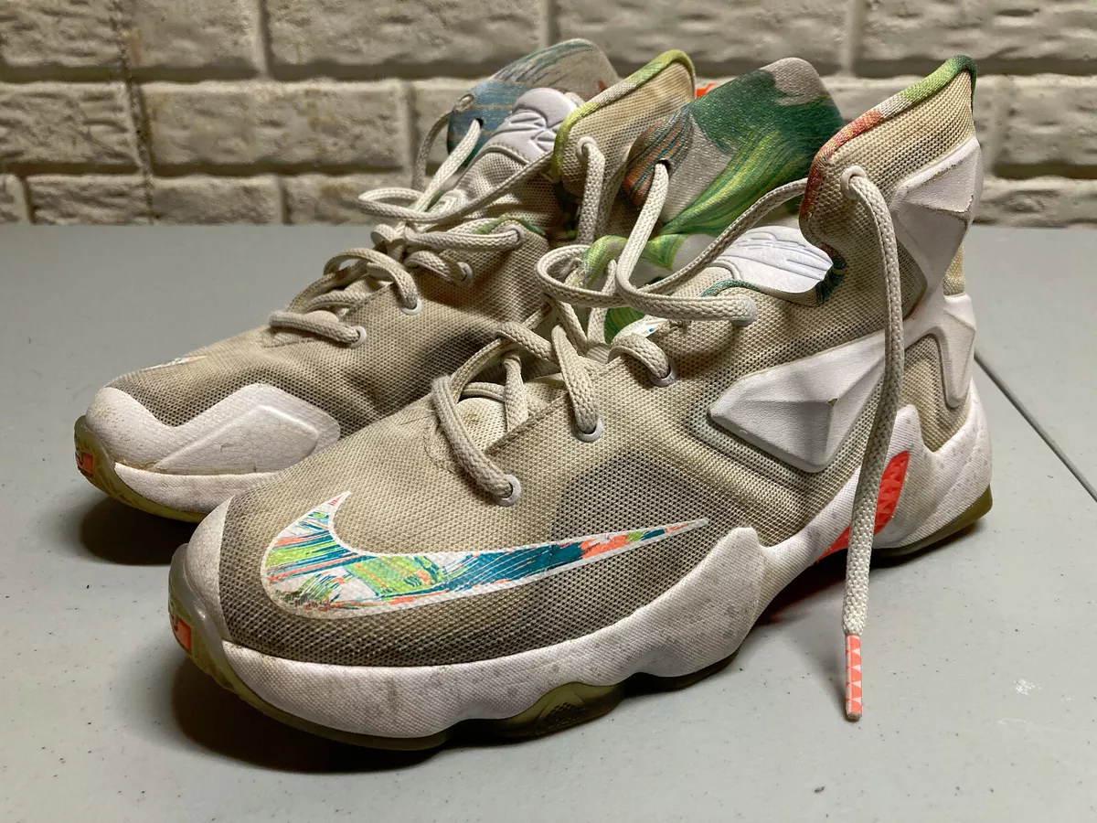 Lebron shoes cheap youth size 5