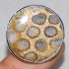 925 Silver Plated Round Fossil Coral Ring US 9 Superb Jewelry Fashion Sale JW