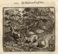 Antique Emblem Print-HARE-FROGS-Vondel-Geraerts-1720