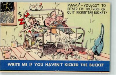39289960 - Comic - Paw ! You got to either fix the roof or quit kickin the
