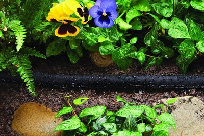 Gardena CONTINENTAL CFH-50 Flat Soaker Hose 50 ft, Black 50 Feet, 