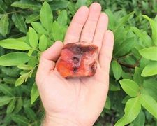 LARGE Rough Carnelain Chunks, 2" - 3": 'A' Grade, Raw Carnelian  