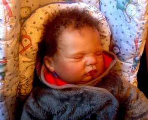 sugar by donna rubert