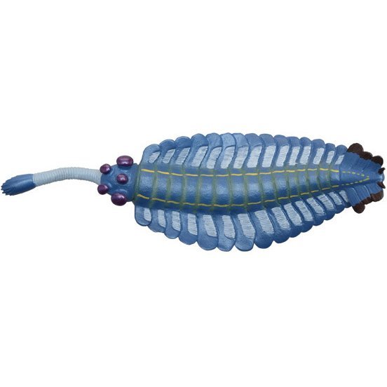 Official Favorite paleontology figure Opabinia soft model