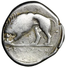 Lucania, Velia AR Nomos "Athena & Lion Devouring Prey, Phi Below" Fine