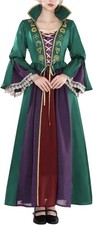 Hocus Pocus Costume Women's Winifred Mary Sanderson Witch Dress Halloween MEDIUM