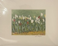 Tulips