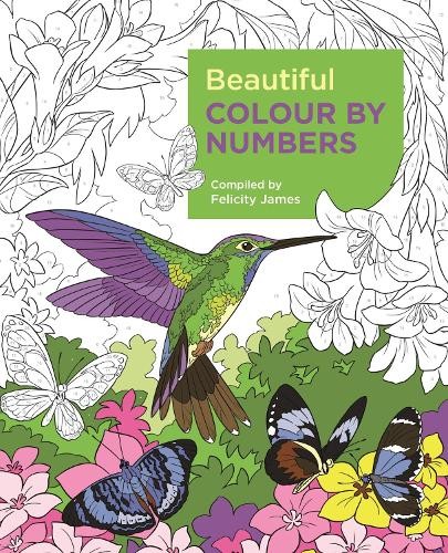 Beautiful Colour by Numbers (Arcturus Colour by Numbers Collection, 12) - Image 2