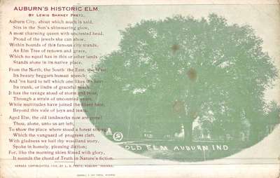 Auburn Indiana Old Elm Tree Antique Postcard K49618 | eBay
