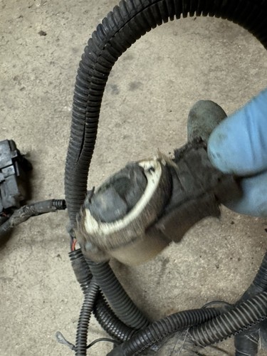 Arnés de cableado de faros delanteros Jeep Wrangler YJ 1993 bomba doble - Imagen 2 de 16