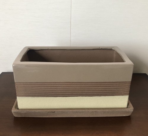 Rectangular Mixed Texture Ceramic Herb Succulent Planter Pot with Saucer, 9 inch - Picture 8 of 9