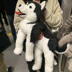 big stuffed husky