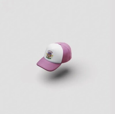 Drake Anita Max Wynn Hat Pink In Hand Sold Out Drake Related Stake  