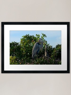 Dinner Time Gerahmter Kunstdruck Gerahmtes Wandbild Poster Leinwanddruck Bild