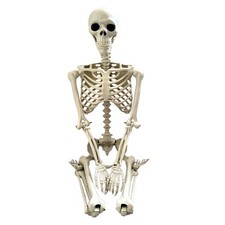 Halloween Poseable Skeleton Full Life Size Human Skeleton Decoration Prop