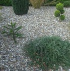 Bild 5 von 10
