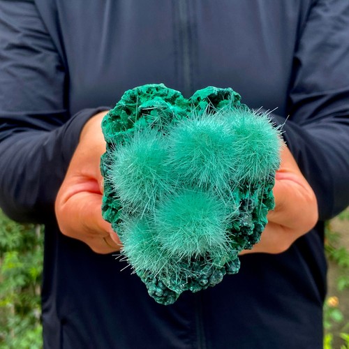 362G indian dandelion zeolite+glossy Malachite cat's eye Mineral Specimen - 第 1/18 張圖片