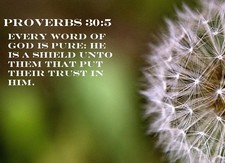 HOLY BIBLE Proverbs 30:5 " Every WORD " JESUS Anti slip MOUSE PAD 9 X 7inch