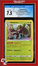 SWSH Black Star Promo Rillaboom SWSH006 Sword & Shield Prerelease CGC 7.5 on eBay