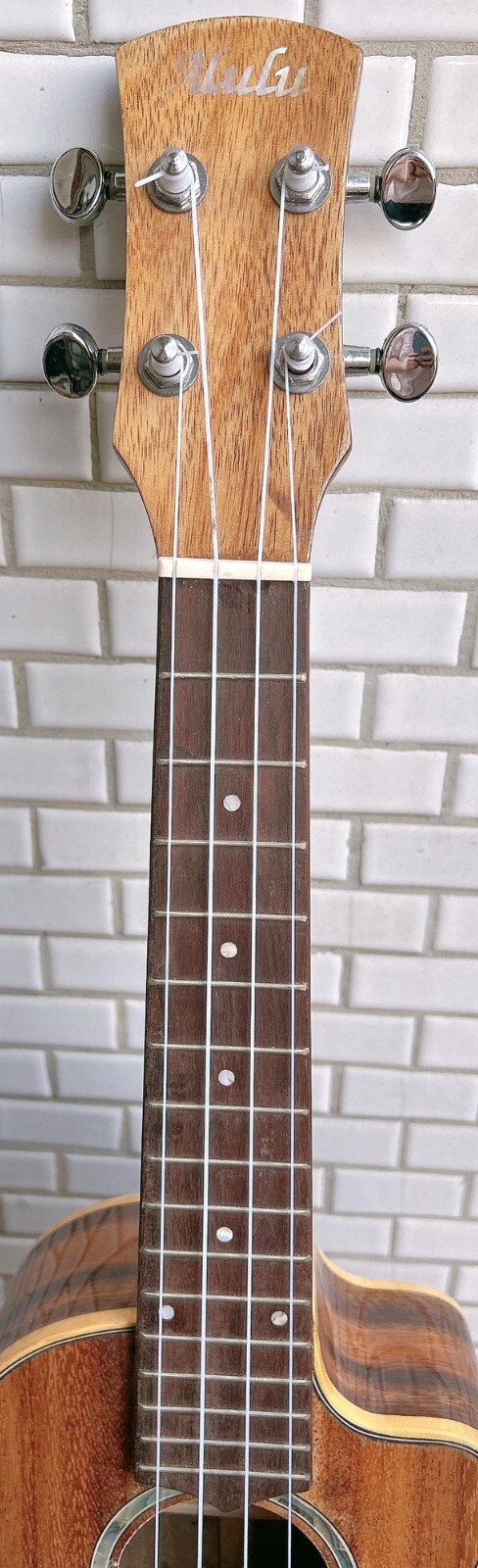 Picture 4 of 17