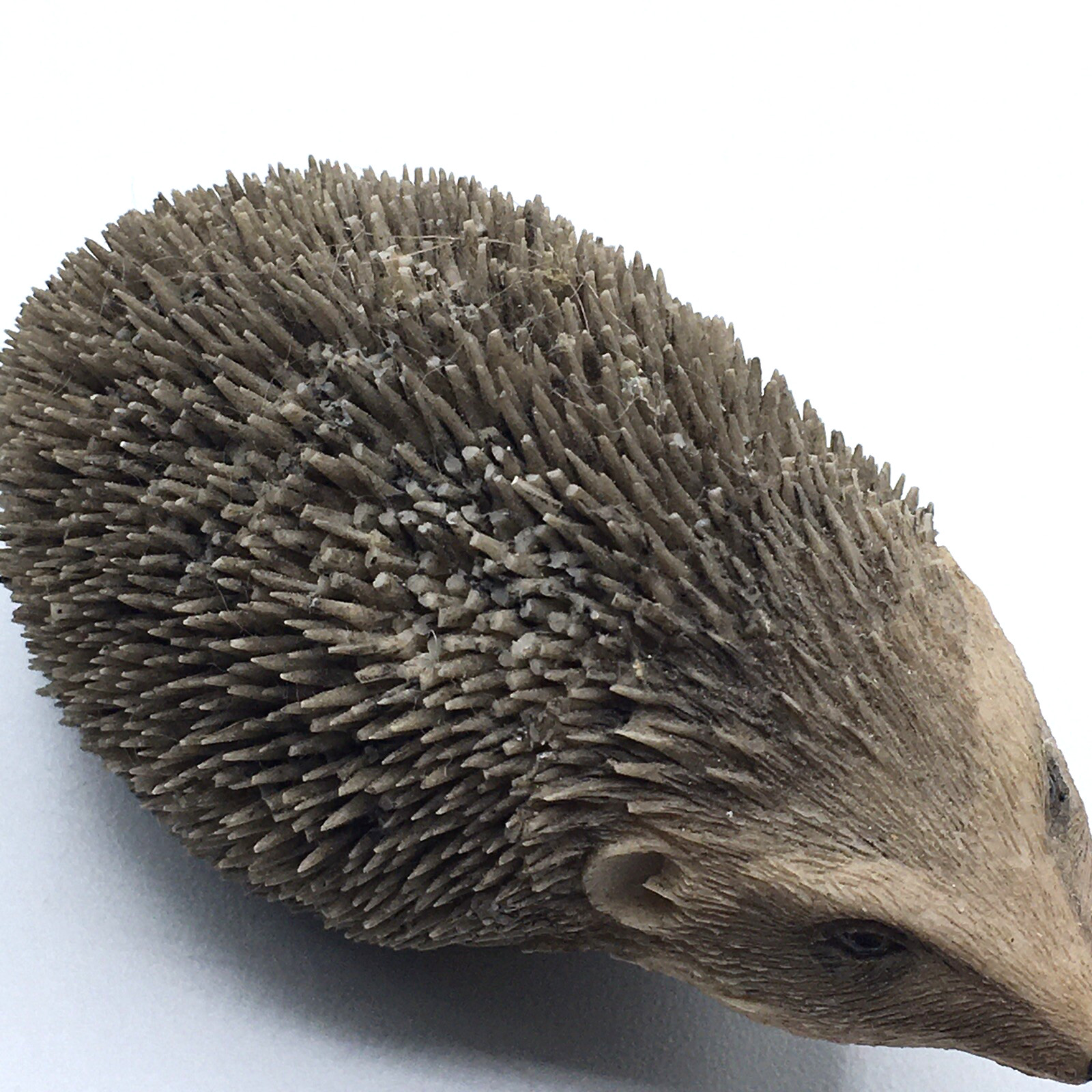 Small Porcupine Hedgehog Figure Figurine Resin Realistic Detailed Home Decor