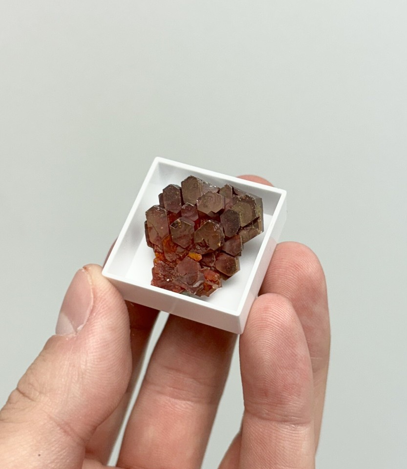 Dark AAA Vanadinite Crystal Cluster in Specimen Box Morocco Perfect