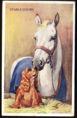 Kunstgezeichnetes PFERD & SPANIEL - Stallkumpels. Alte Postkarte von E Beckles 1956