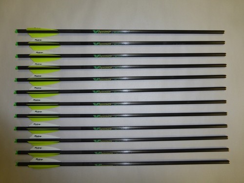 12 Victory Archery XBolt 20\
