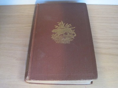 The Dog by Dinks, Mayhew, & Hutchinson. Compiled & Illustrated by Frank Forester