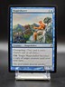 MTG Shapesharer - Lorwyn Regular - NM Magic The Gathering