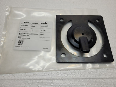Rückschlagklappe KSB mini-Compacta U1 60/100