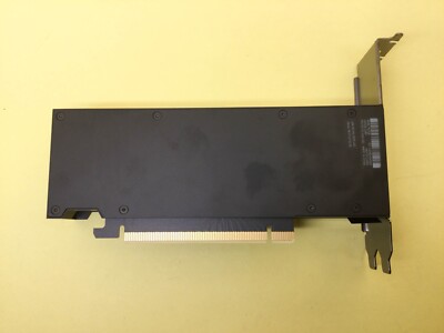 NVIDIA RTX 2000 Ada Generation 16GB GDDR6 PCI Express 4.0 x8