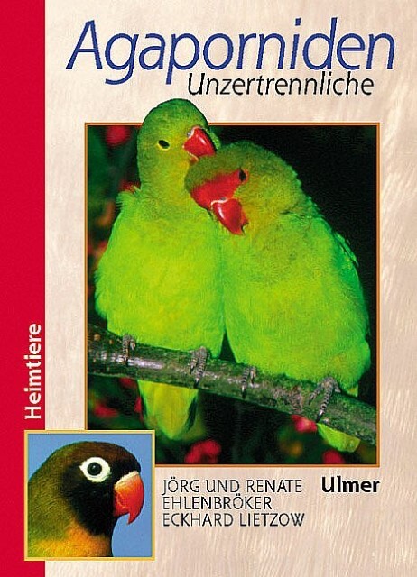 Thumbnail - Agaporniden Jörg Ehlenbröker