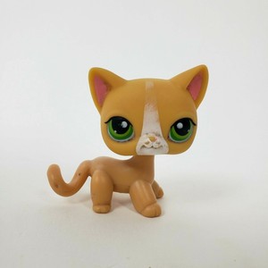 orange cat lps