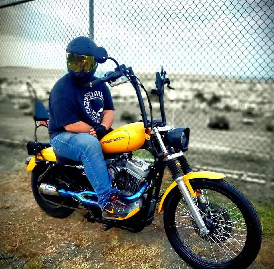 Escape 2 en 1 apto para Harley Davidson Sportster Forty-Eight XL1200X 2010-2021 Foto 2 de 4