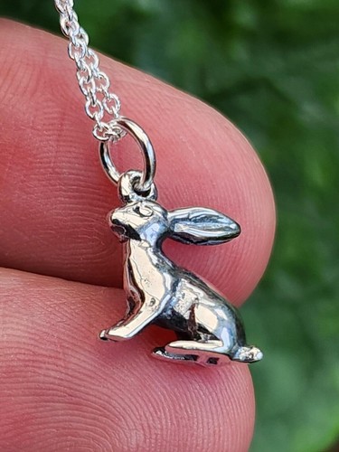 Colgante de plata de ley 925 con mini luna y liebre, cadena de 18.0 in,... - Imagen 23 de 24