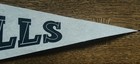 Very Rare Vintage 1975 Chicago Bulls Central Division Champ Pennant  — photo 6
