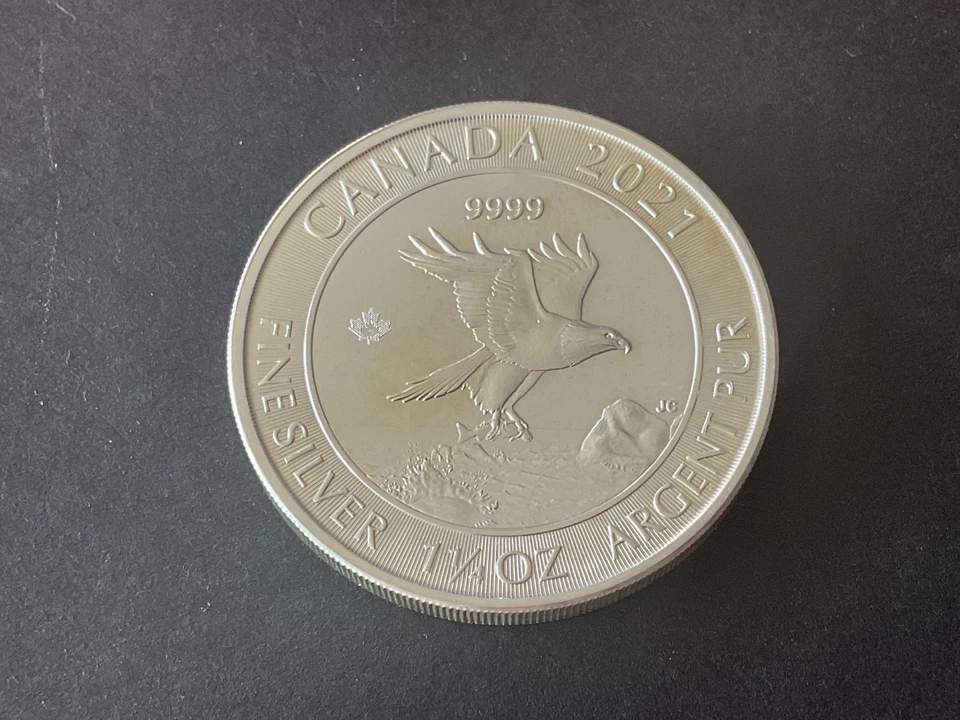 🔴 CANADA ELIZABETH II 1.25 OUNCES .9999 SILVER PROOF COLLECTORS COIN 🟢 - Image 2 of 3