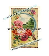 1895 Pansies F. Barteldes Co Kansas seed house flower metal tin sign  wall art