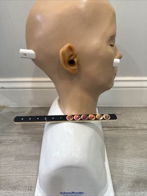 Entraîneur De Diagnostic Auriculaire Adam Rouilly AR302 - Tête Humaine Avec Otoscope Et 12 Scénarios