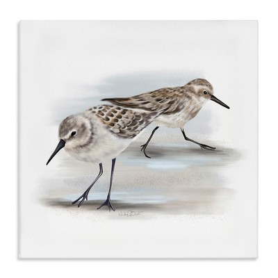 Stupell Sandpiper Pair on Sandy Beach Small Nautical Birds