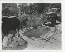Vintage 8x10 Production Photo China 1943 Loretta Young Alan Ladd William Bendix