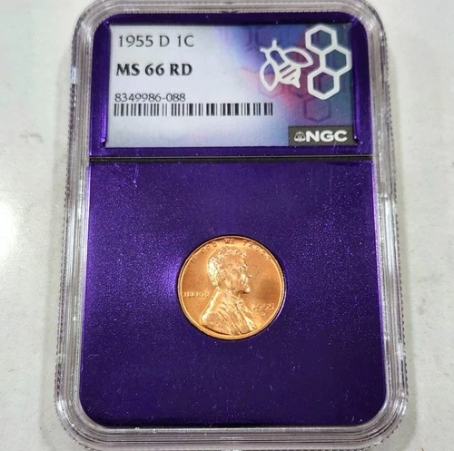 1955-D 1¢ Lincoln Wheat Penny NGC MS66 RD BU Red - Purple Core Holder