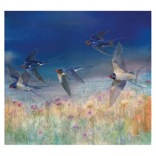 Evening Swallows Birds  Fine Art Blank Greeting / Birthday Card Flowers Nature